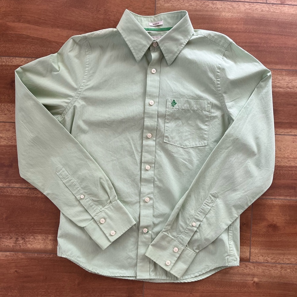 Abercrombie & Fitch Muscle Slim Fit Pinstripe Green and White Dress Shirt